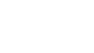 coca cola company